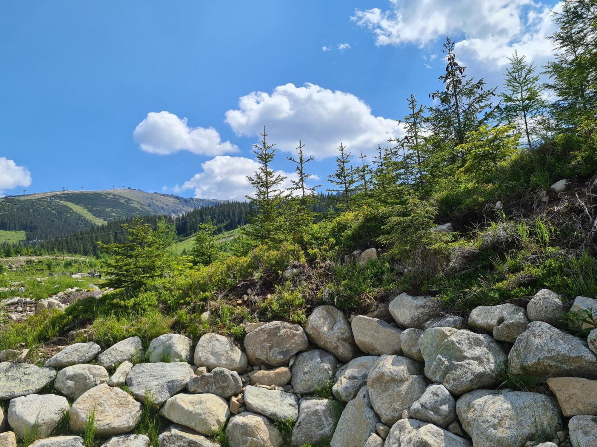 Chalet Askala Jasna Demanovska Dolina Bagian luar foto